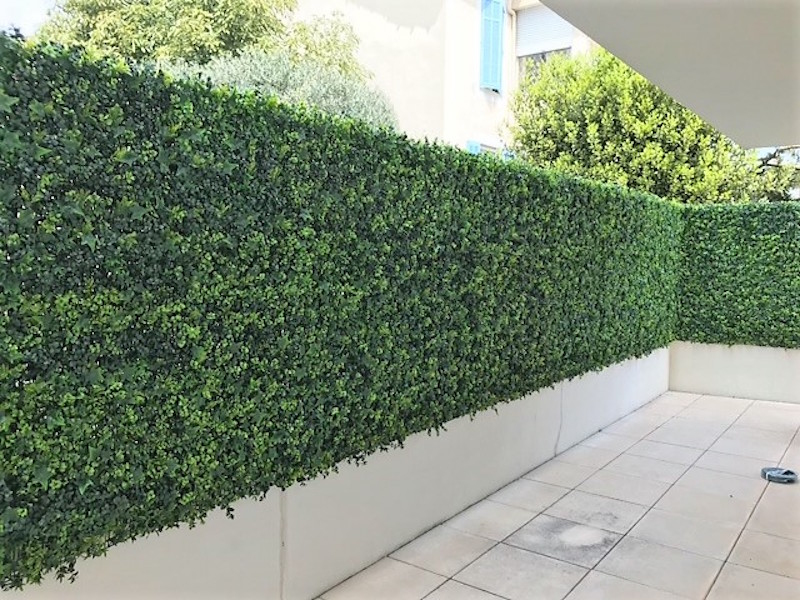 murs végétaux Dronero